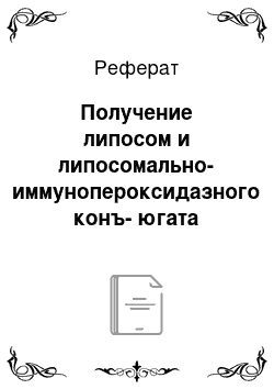 Реферат: Получение липосом и липосомально-иммунопероксидазного конъ-югата