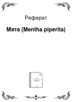 Реферат: Мята (Mentha piperita)