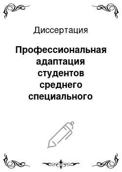 Диссертация: Профессиональная адаптация студентов среднего специального учебного заведения в процессе внеаудиторной работы