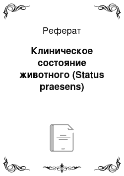 Реферат: Клиническое состояние животного (Status praesens)