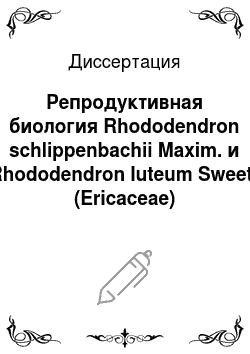 Диссертация: Репродуктивная биология Rhododendron schlippenbachii Maxim. и Rhododendron luteum Sweet: (Ericaceae)