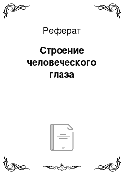 Реферат: Строение человеческого глаза