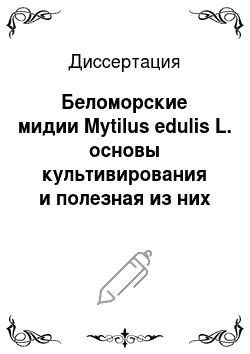Диссертация: Беломорские мидии Mytilus edulis L. основы культивирования и полезная из них продукция