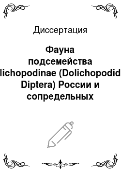 Диссертация: Фауна подсемейства Dolichopodinae (Dolichopodidae, Diptera) России и сопредельных территорий