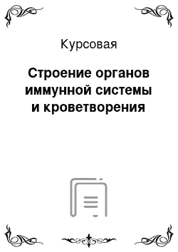 Курсовая: Строение органов иммунной системы и кроветворения