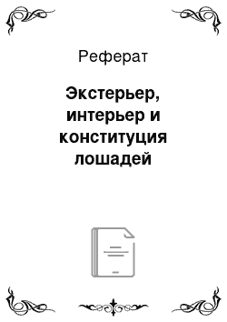 Реферат: Экстерьер, интерьер и конституция лошадей