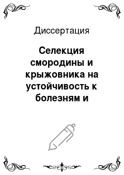Диссертация: Селекция смородины и крыжовника на устойчивость к болезням и вредителям в Сибири