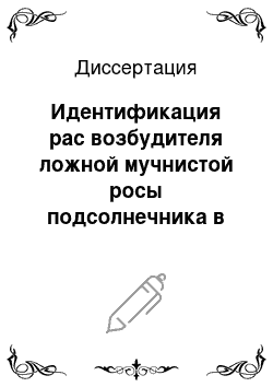 Диссертация: Идентификация рас возбудителя ложной мучнистой росы подсолнечника в регионах Северного Кавказа и выделение устойчивого к ним исходного материала для селекции