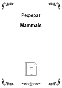 Реферат: Mammals