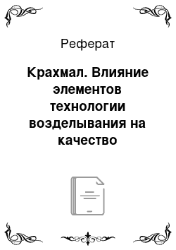 Реферат: Крахмал. Влияние элементов технологии возделывания на качество продукции