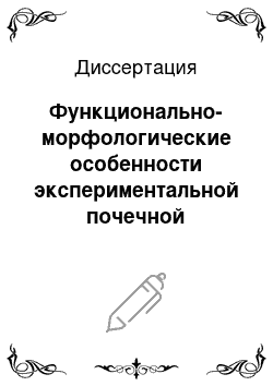 Диссертация: Функционально-морфологические особенности экспериментальной почечной недостаточности на фоне гипокальциемии