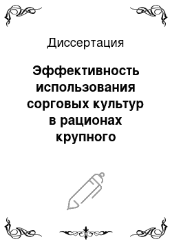 Диссертация: Эффективность использования сорговых культур в рационах крупного рогатого скота