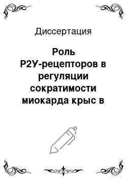 Диссертация: Роль Р2У-рецепторов в регуляции сократимости миокарда крыс в постнатальном онтогенезе