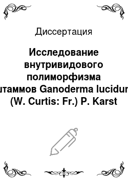 Диссертация: Исследование внутривидового полиморфизма штаммов Ganoderma lucidum (W. Curtis: Fr.) P. Karst