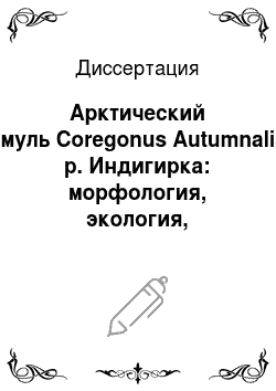 Диссертация: Арктический омуль Coregonus Autumnalis р. Индигирка: морфология, экология, промысел