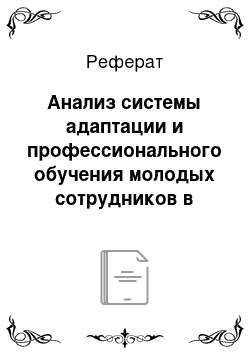 Реферат: Анализ системы адаптации и профессионального обучения молодых сотрудников в дошкольном образовательном учреждении