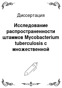 Диссертация: Исследование распространенности штаммов Mycobacterium tuberculosis с множественной лекарственной устойчивостью в Новосибирской области