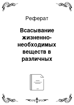 Реферат: Всасывание жизненно-необходимых веществ в различных отделах пищеварительного тракта