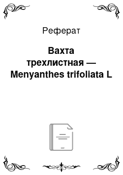 Реферат: Вахта трехлистная — Menyanthes trifoliata L