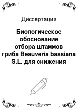 Диссертация: Биологическое обоснование отбора штаммов гриба Beauveria bassiana S.L. для снижения численности саранчовых в Казахстане