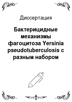 Диссертация: Бактерицидные механизмы фагоцитоза Yersinia pseudotuberculosis с разным набором плазмид