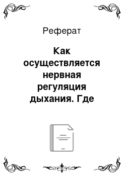 Реферат: Как осуществляется нервная регуляция дыхания. Где находятся нервные центры, которые регулируют дыхание. Опишите значение блуждающего нерва в регуляции дыхания