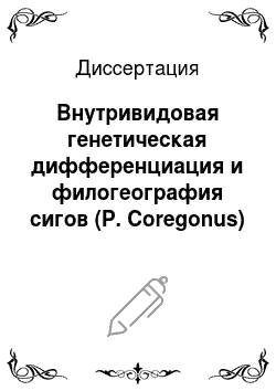 Диссертация: Внутривидовая генетическая дифференциация и филогеография сигов (P. Coregonus) Сибири