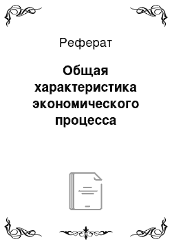 Реферат: Общая характеристика экономического процесса