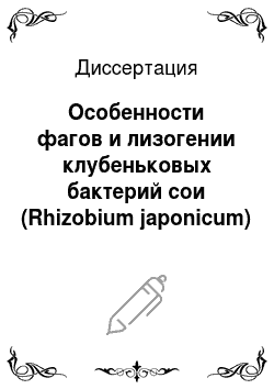 Диссертация: Особенности фагов и лизогении клубеньковых бактерий сои (Rhizobium japonicum)