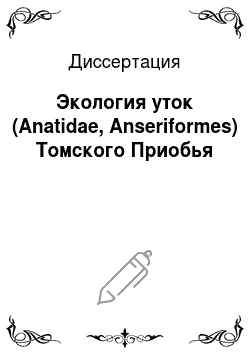 Диссертация: Экология уток (Anatidae, Anseriformes) Томского Приобья