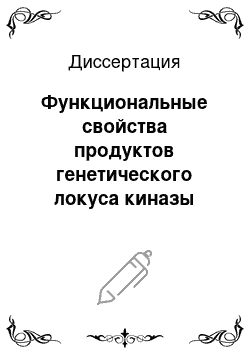 Диссертация: Функциональные свойства продуктов генетического локуса киназы легких цепей миозина