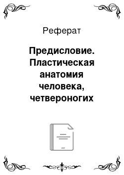 Реферат: Предисловие. Пластическая анатомия человека, четвероногих животных и птиц