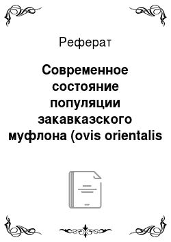 Реферат: Современное состояние популяции закавказского муфлона (ovis orientalis gmelin) в Азербайджане