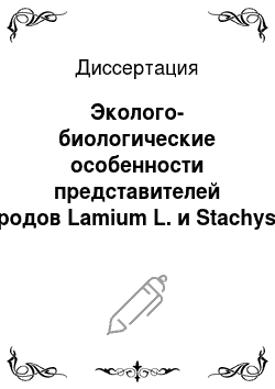 Диссертация: Эколого-биологические особенности представителей родов Lamium L. и Stachys L. (Lamiaceae) Северо-Западного Кавказа