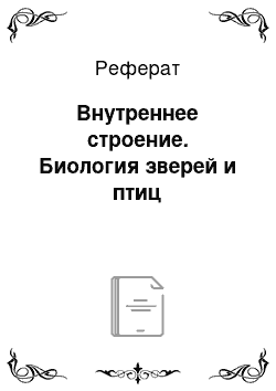 Реферат: Внутреннее строение. Биология зверей и птиц