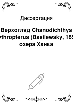 Диссертация: Верхогляд Chanodichthys erythropterus (Basilewsky, 1855) озера Ханка
