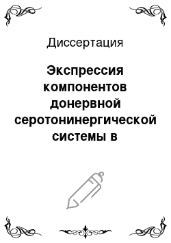 Диссертация: Экспрессия компонентов донервной серотонинергической системы в эмбриогенезе шпорцевых лягушек и морских ежей