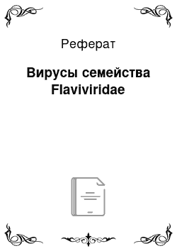 Реферат: Вирусы семейства Flaviviridae
