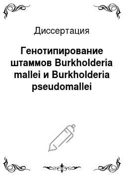 Диссертация: Генотипирование штаммов Burkholderia mallei и Burkholderia pseudomallei