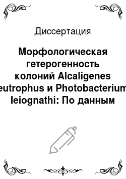 Диссертация: Морфологическая гетерогенность колоний Alcaligenes eutrophus и Photobacterium leiognathi: По данным электронной микроскопии