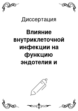 Диссертация: Влияние внутриклеточной инфекции на функцию эндотелия и клиническое течение ишемической болезни сердца