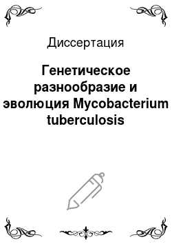 Диссертация: Генетическое разнообразие и эволюция Mycobacterium tuberculosis