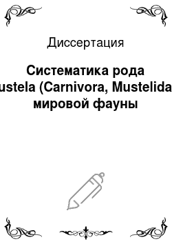 Диссертация: Систематика рода Mustela (Carnivora, Mustelidae) мировой фауны
