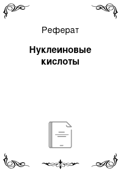 Реферат: Нуклеиновые кислоты