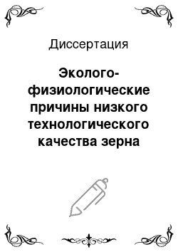 Диссертация: Эколого-физиологические причины низкого технологического качества зерна яровой пшеницы в Восточной Сибири