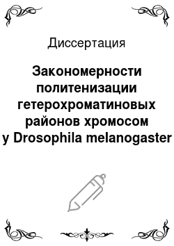 Диссертация: Закономерности политенизации гетерохроматиновых районов хромосом у Drosophila melanogaster