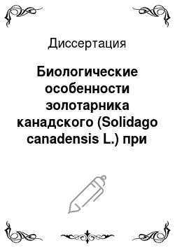 Диссертация: Биологические особенности золотарника канадского (Solidago canadensis L.) при интродукции в условиях Ставропольской возвышенности