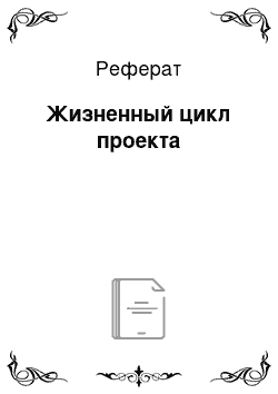 Реферат: Жизненный цикл проекта