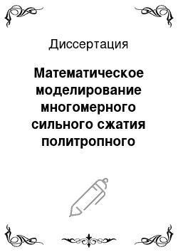 Диссертация: Математическое моделирование многомерного сильного сжатия политропного газа