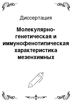 Диссертация: Молекулярно-генетическая и иммунофенотипическая характеристика мезенхимных стромальных клеток из миелоидных органов крыс в онтогенезе